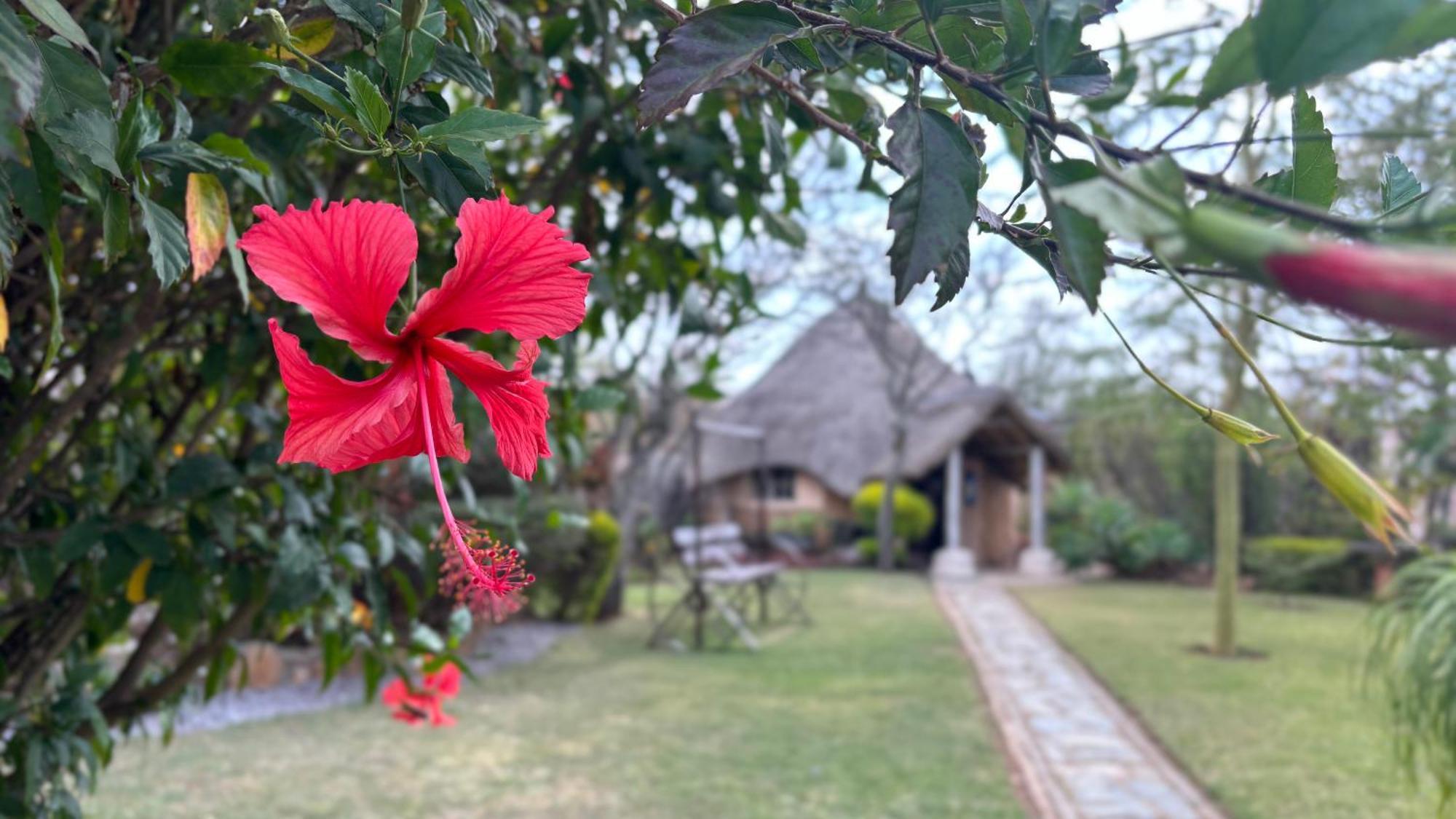 Lynns Guest House Bulawayo Exterior foto