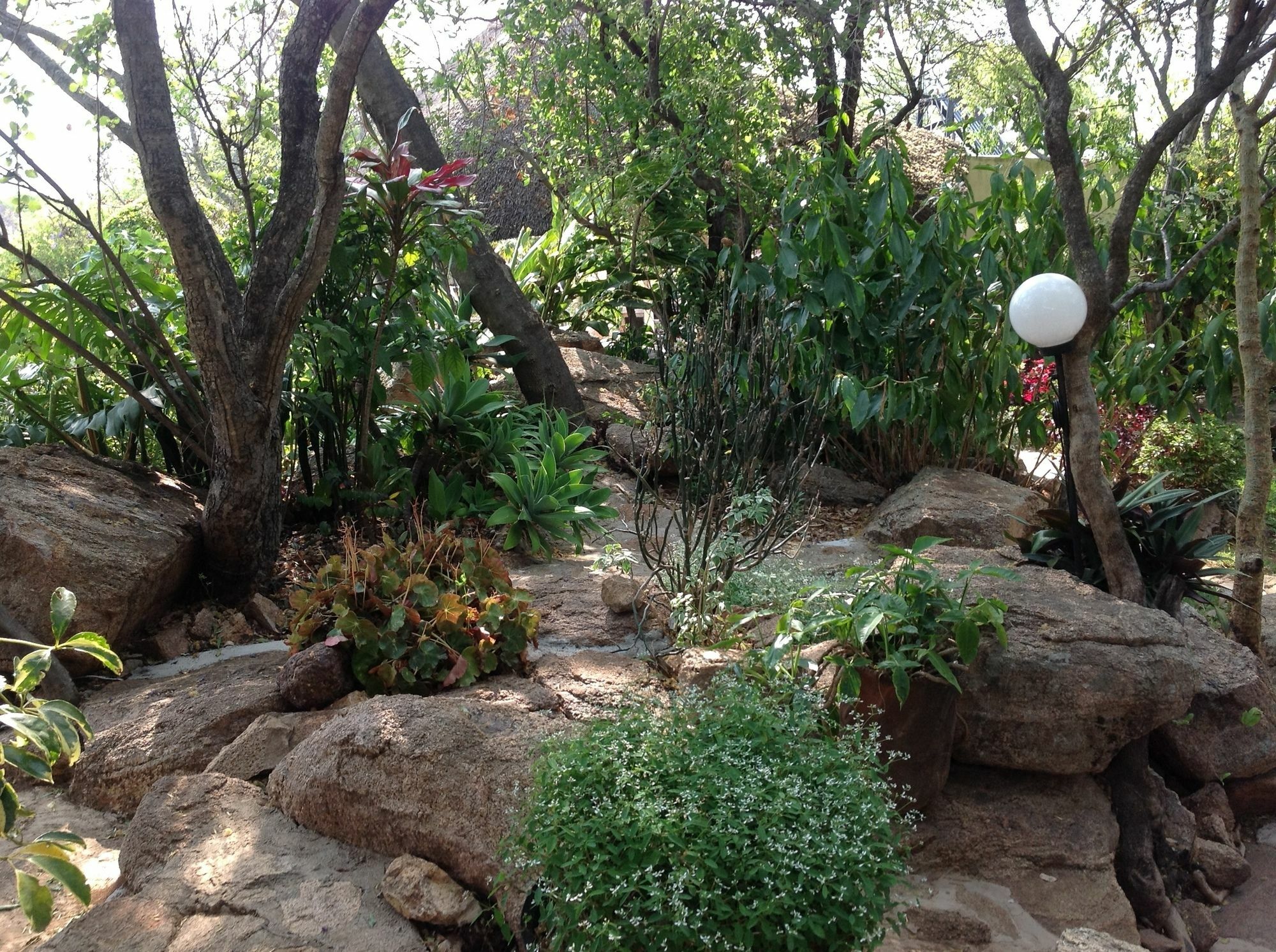 Lynns Guest House Bulawayo Exterior foto